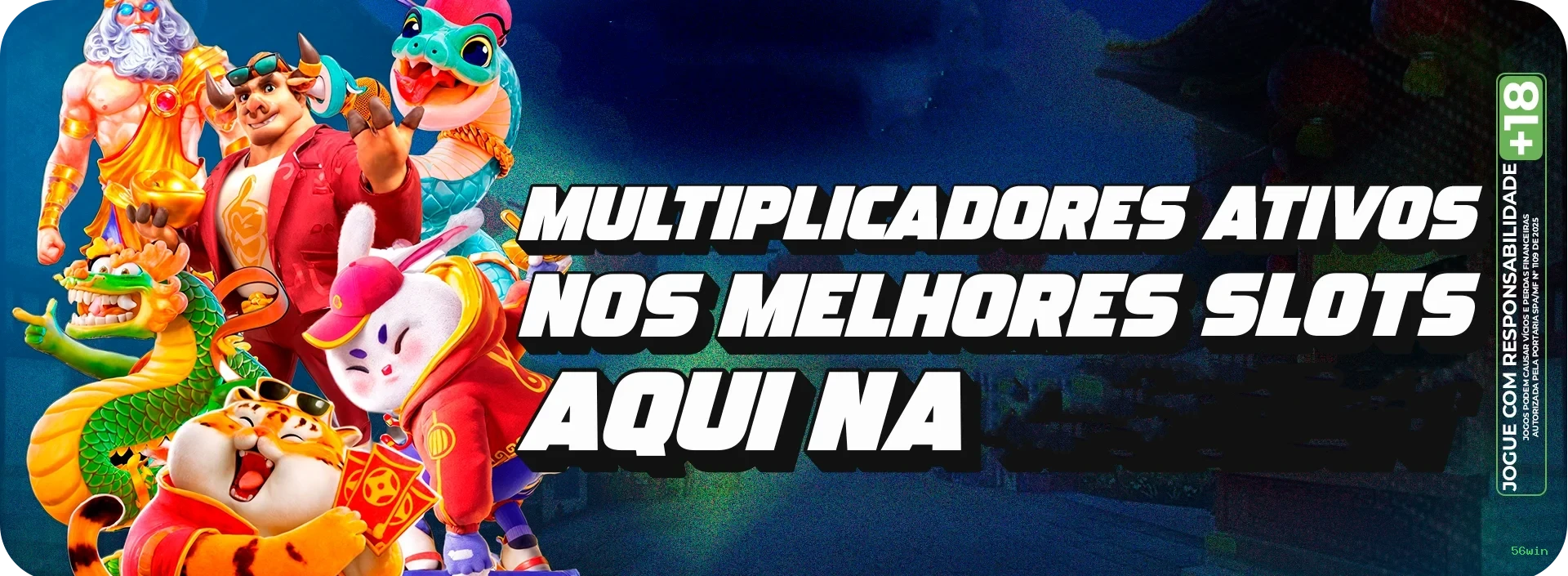 Suporte Login